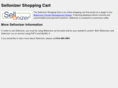 sellonizer.com