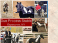 dueprocessstable.org