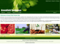 greenfieldtechnosys.com