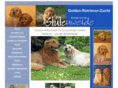 golden-retrieverzucht.com