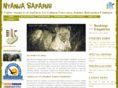 nyanjasafaris.com