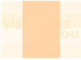 visions4you.net