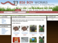 bigboyworms.com
