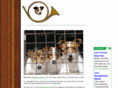 jackrussell.org