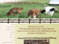 lamonifarmsboergoats.com