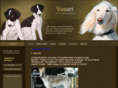 vasartborzoi.com