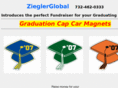 zieglerglobal.com