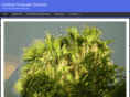 cardinalitinc.com