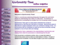 synchronicitytimes.com
