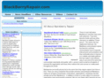 blackberryrepair.com