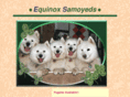 equinoxsamoyeds.com