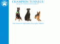 championtunnels.com