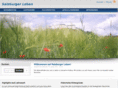 salzburger-leben.net