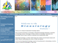 specialisedkinesiology.com