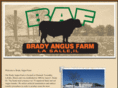 bradyangus.com