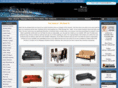 futonsrusny.com