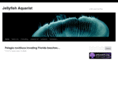 howtokeepjellyfish.com