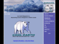 coolearthinc.com