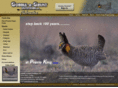 prairieking.net