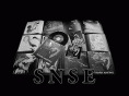 snse.net