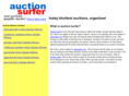auction-surfer.com
