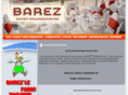 barezorganizasyon.com