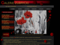 galeriezubrycki.com