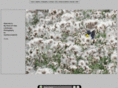 mypointofview-photo.com