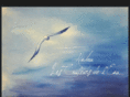 nabou-lescouleursdeleau.com