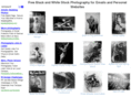 blackwhitestockphotography.com