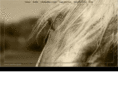 dekphoto.com
