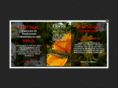 hotel-elbrus.com