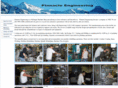 pineng2004.com