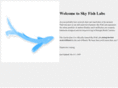skyfishlabs.com