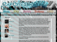 austincapcitydjs.com