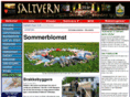 saltvern.com