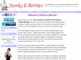storksandberries.com