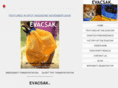 evacsac.com