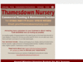 thamesdownnursery.com