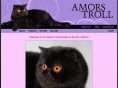 amorstroll.com
