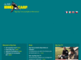 bigcarp.com