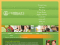 workfromhome4all.com
