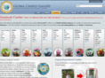 globalcandlegallery.com