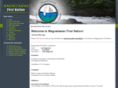 magnetawanfirstnation.com