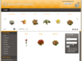 sunnyviewflowers.com