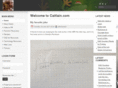 caitlain.com