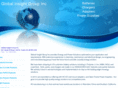 globalinsightcorps.com