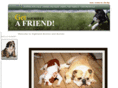 highlandbostons.com
