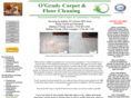 nomoresteamcleaning.com