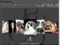 sbphotographe.com